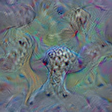 n02110185